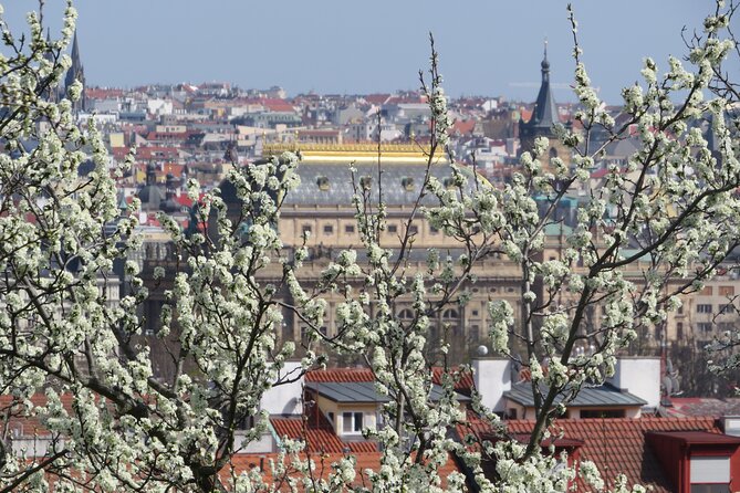 Prague Literary & Historical Tours - Literature Route - Bartolomějská: a stop built around surprise