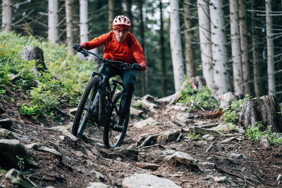 Prague Mountain Biking: Blast Through The Best Singletracks - From Prague pickup to the Bohemian Karst