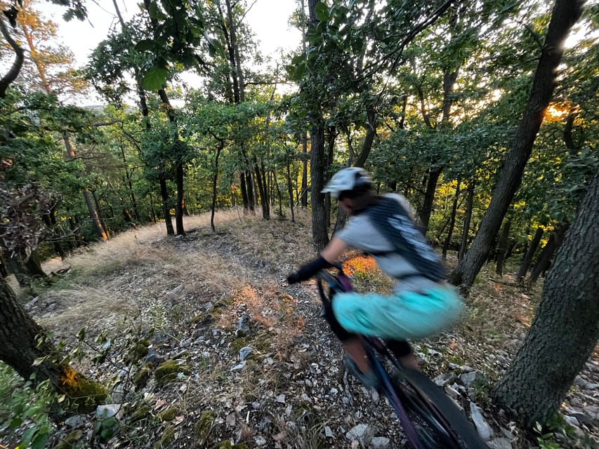 Prague Mountain Biking: Blast Through The Best Singletracks - A private ride that works for different skill levels