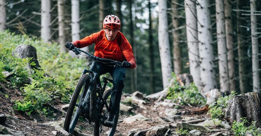 Prague Mountain Biking: Blast Through The Best Singletracks - Choosing your bike at Martin’s Adventures