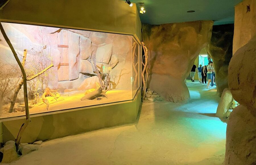 Prague: Prague Zoo Audio Guide with E-Ticket - Why Prague Zoo needs a full day