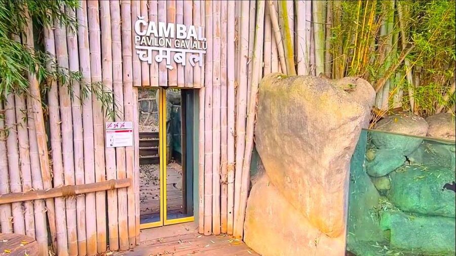 Prague: Prague Zoo Audio Guide with E-Ticket - Why the history matters