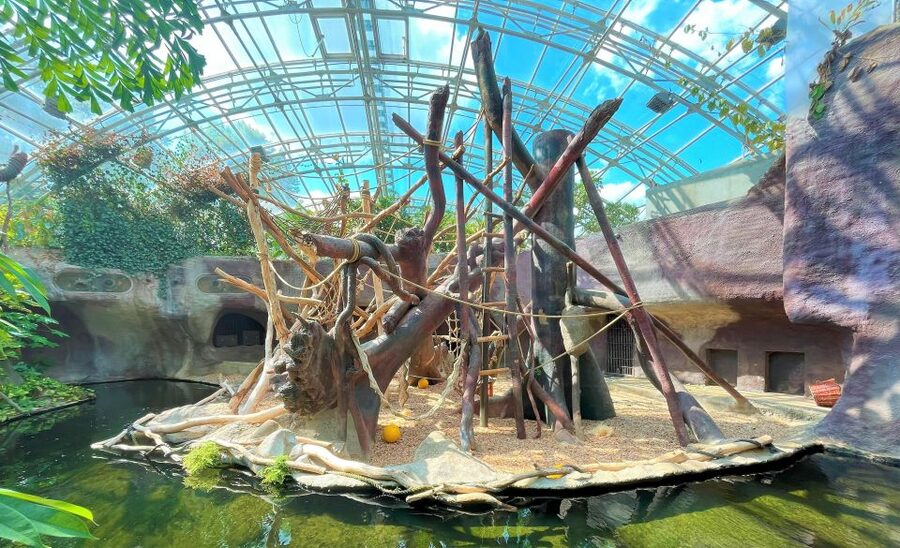Prague: Prague Zoo Audio Guide with E-Ticket - Is $22 good value?