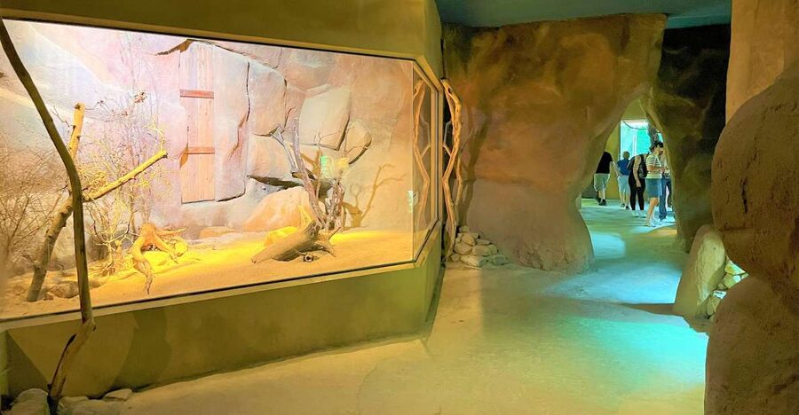 Prague: Prague Zoo Audio Guide with E-Ticket - Starting at the Troja entrance