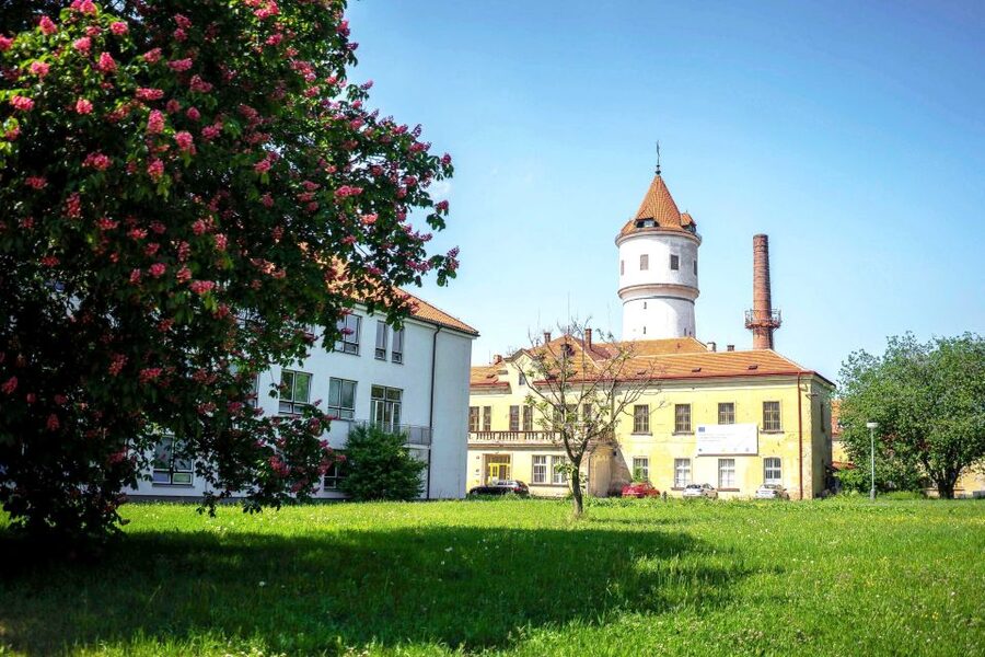 Prague: Psychiatric Hospital and Abandoned Cemetery Tour - Key points to know before you book