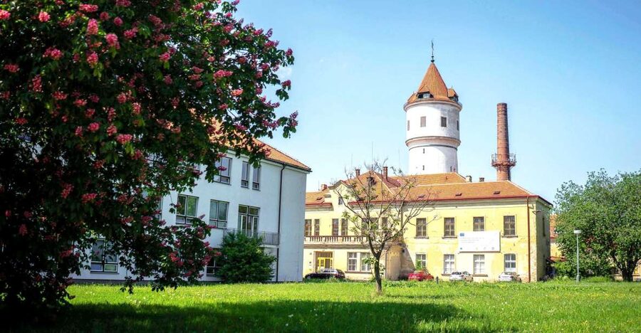 Prague: Psychiatric Hospital and Abandoned Cemetery Tour - Why Bohnice is a different kind of Prague tour