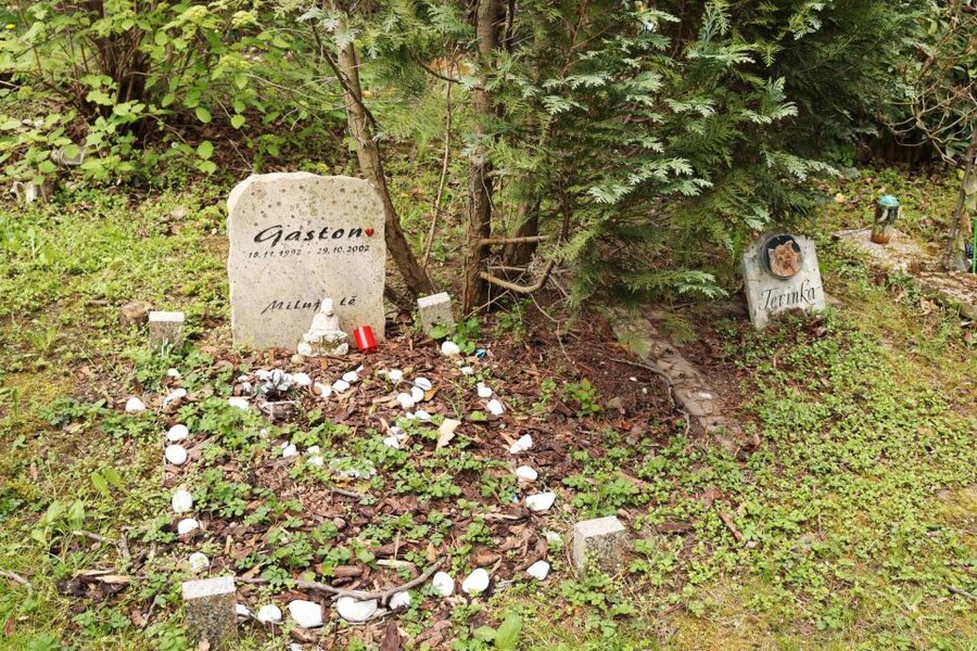 Prague: Psychiatric Hospital and Abandoned Cemetery Tour - Getting there from central Prague
