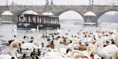 River Cruise, Charles Bridge Museum, & Walking Tour