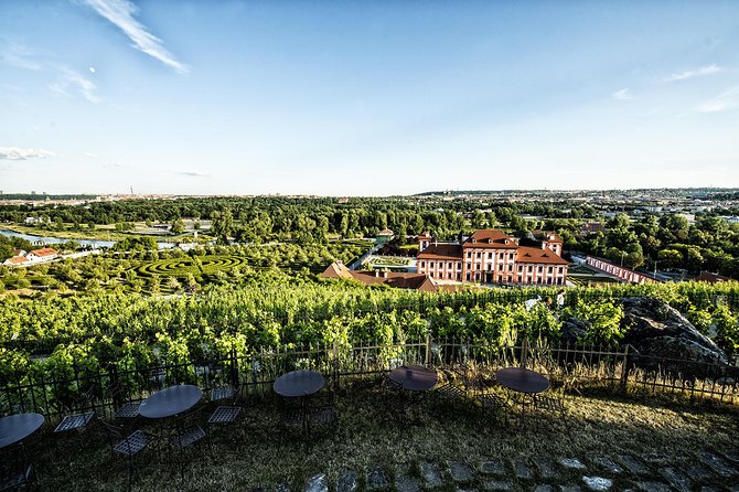 Prague´s Hidden Vineyards Private Tour - A private cellar explains the work behind the bottle