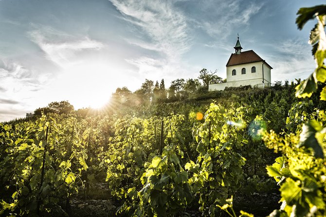 Prague´s Hidden Vineyards Private Tour - Why the private format is worth considering