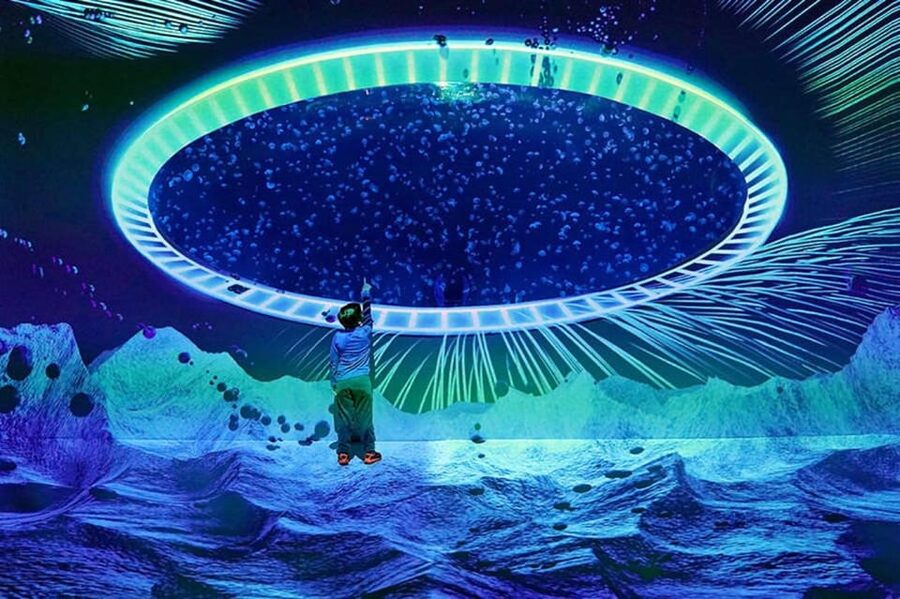 Prague: The World Of Jellyfish Entry Ticket w/ Drink - The spherical aquarium and the main visual draw