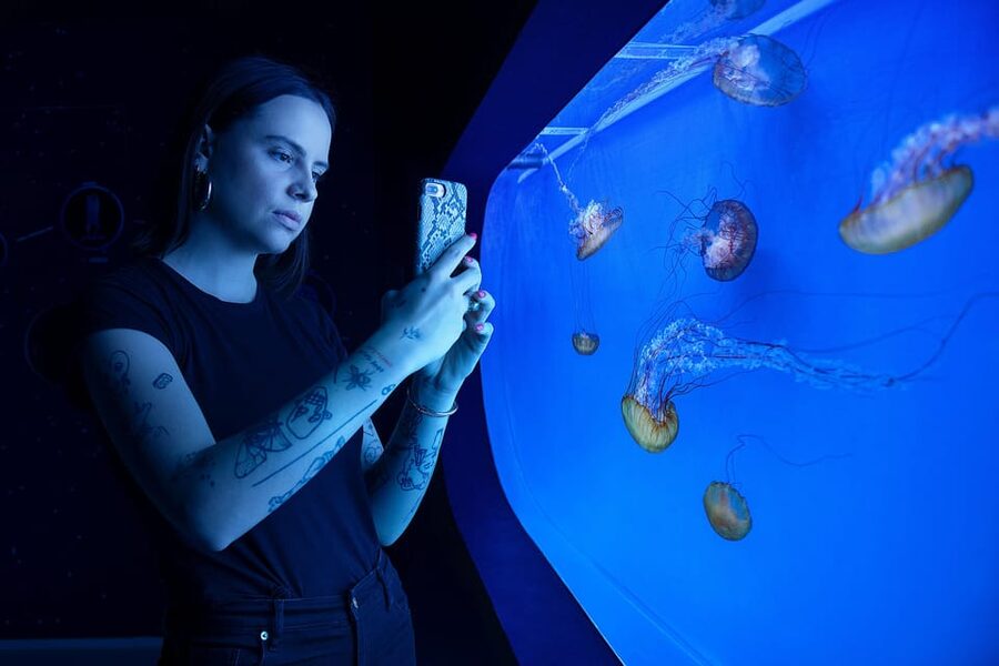 Prague: The World Of Jellyfish Entry Ticket w/ Drink - Who will enjoy it most