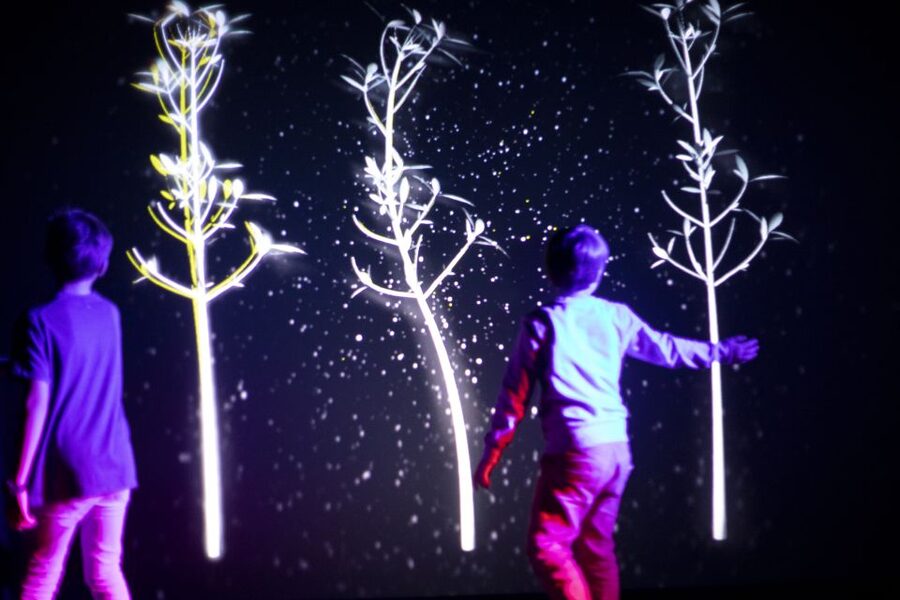 Prague: Ticket to Audiovisual Light Art at Lumia Gallery - Who will enjoy this most?