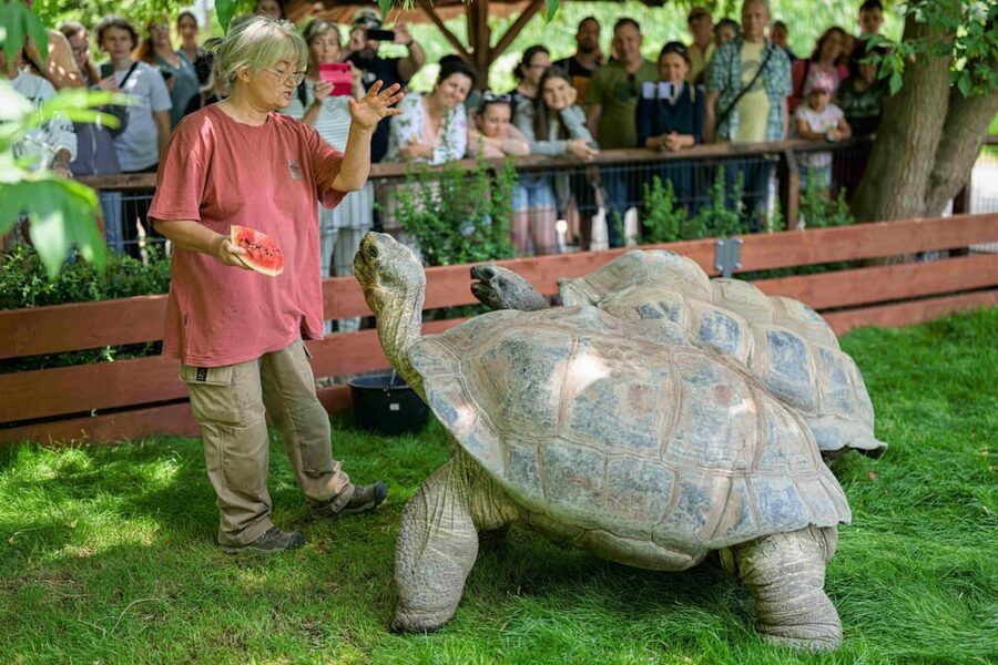 Prague Zoo: Skip-the-Line Entry Ticket - Why Prague Zoo deserves a full day