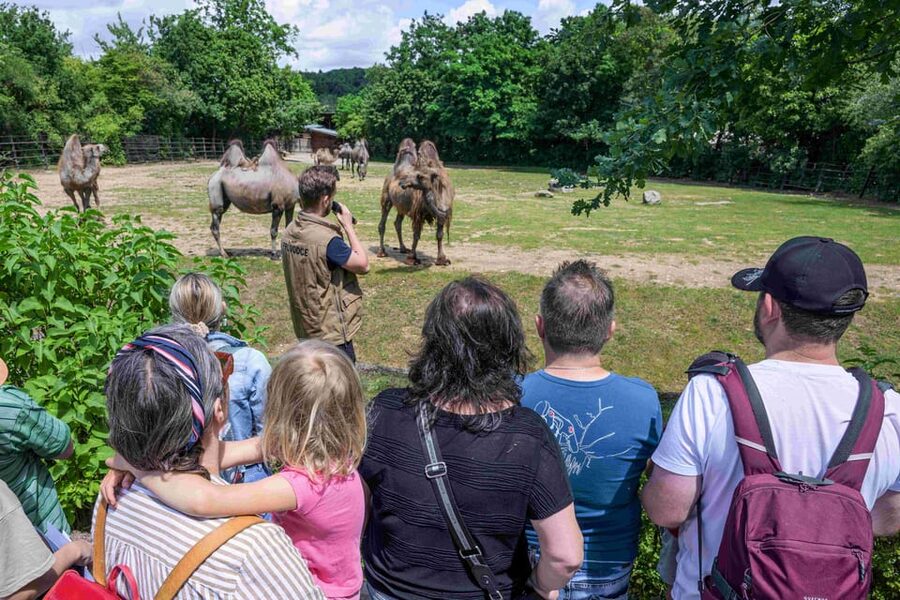 Prague Zoo: Skip-the-Line Entry Ticket - Who will enjoy Prague Zoo most