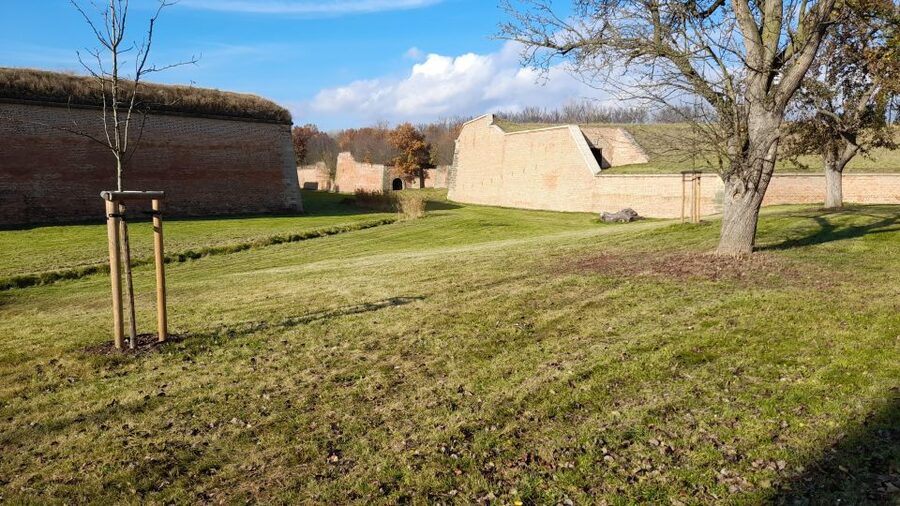 Private Half-Day Tour To Terezin Concentration Camp - Guide quality and the value of a private visit