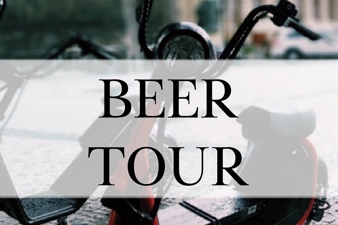 Private live-guided E-Scooter TOURS around Prague - Views, Malinovka, and the Castle District