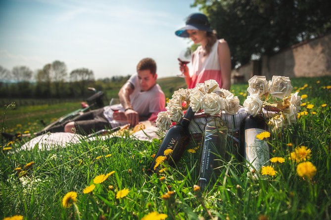 Private PICNIC in Bohemian Vineyards and Wine Tasting 4WD Tour - Johann W Winery in Třebívlice