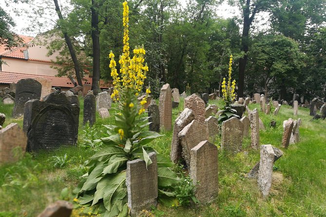Private Stories of Jewish Prague Walking Tour - The Jewish Museum, where the story becomes personal