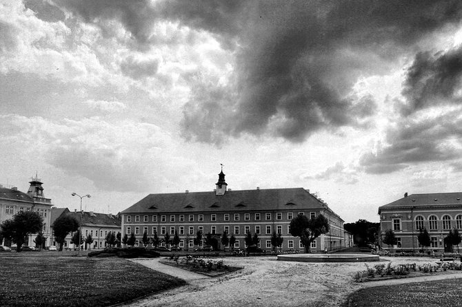 Private Terezin Nazi camp tour from Prague All-Inclusive - Private transport and a guide who shapes the day