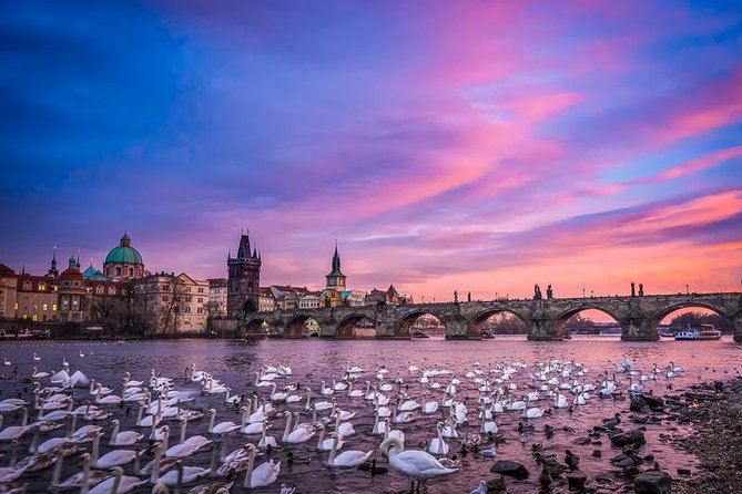 Small-Group Walking Photo Tour of Prague - Starting at the Powder Tower at 5:00 pm
