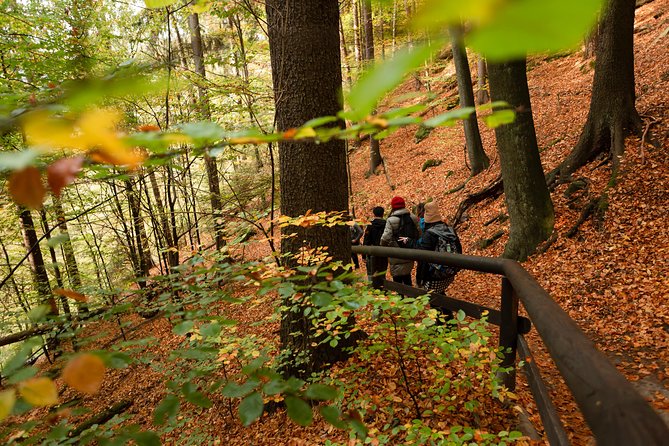 VIP Best Reviews: Bohemian & Saxon Switzerland from Prague - How hard is the walking?