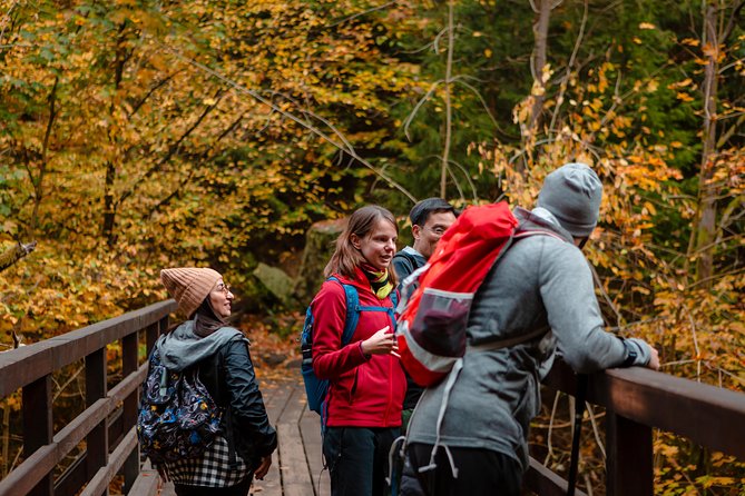 VIP Best Reviews: Bohemian & Saxon Switzerland from Prague - Guides, safety, and the human side of the day