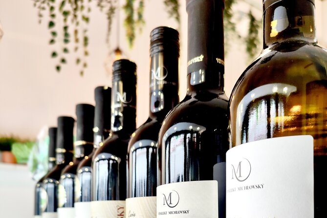 Wine Tasting and History Prague - Beginning at Marianske Namesti and Žatecká Street