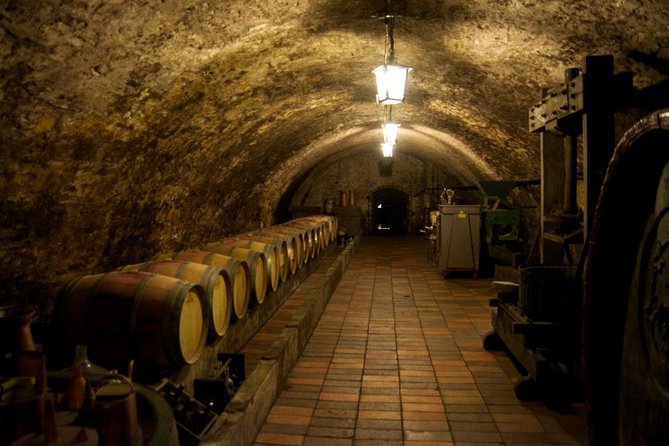 Wine Tasting Day Trip from Prague to Melnik - Key points at a glance